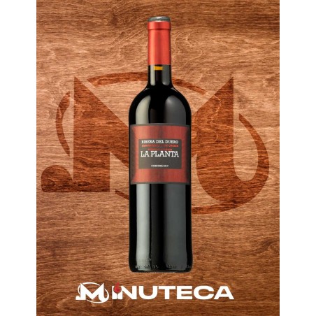 V. LA PLANTA RIBERA DEL DUERO 75CL